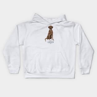 Chocolate Brown Labrador Kids Hoodie